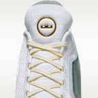 LeBron XXIII Elite "For the Record" Basketball Shoes