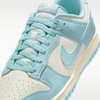 Dunk Low Retro Men's Shoes
