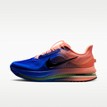 Pegasus Premium Men's Road Running Shoes